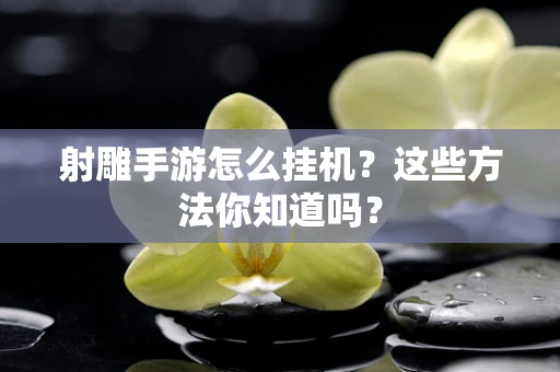 射雕手游怎么挂机？这些方法你知道吗？