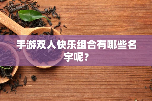 手游双人快乐组合有哪些名字呢？