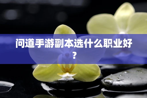 问道手游副本选什么职业好？