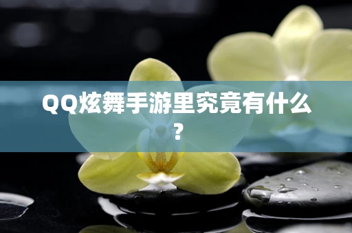 QQ炫舞手游里究竟有什么？